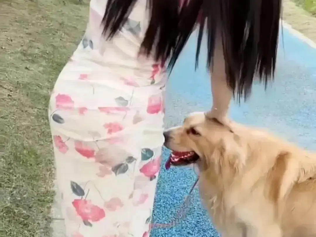 《抖音香香公主与爱犬金毛》完整版在线观看-高能日常互动高清免费看-抖音金毛蹭香香公主撒娇直播回放无广告-资源秒播《抖音香香公主与爱犬金毛》