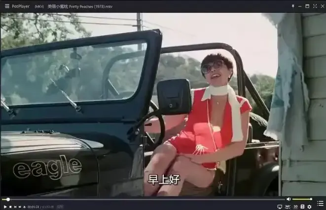 《美丽小蜜桃》高清完整版免费观看-1978年经典喜剧片无删减在线播放-《美丽小蜜桃》HD中字资源