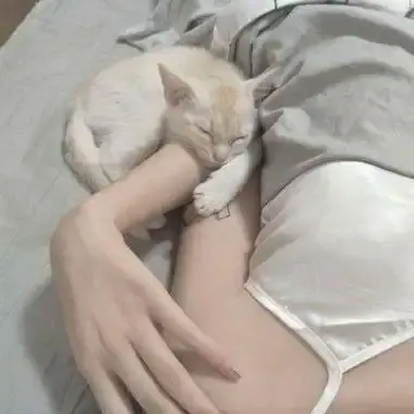 《森泽佳奈》全集完整版免费在线观看-高清无广告中文配音-网盘下载蓝光1080P